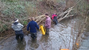 Volunteers building flow deflectors in the river channel