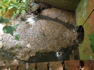 Sewage pollution and waste enters the Little Avon near Charfield
