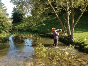 Hinging a willow tree to create a live flow deflector
