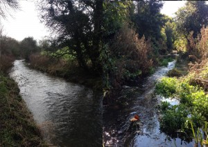 Habitat enhancement works completed last year on the Luckington Brook