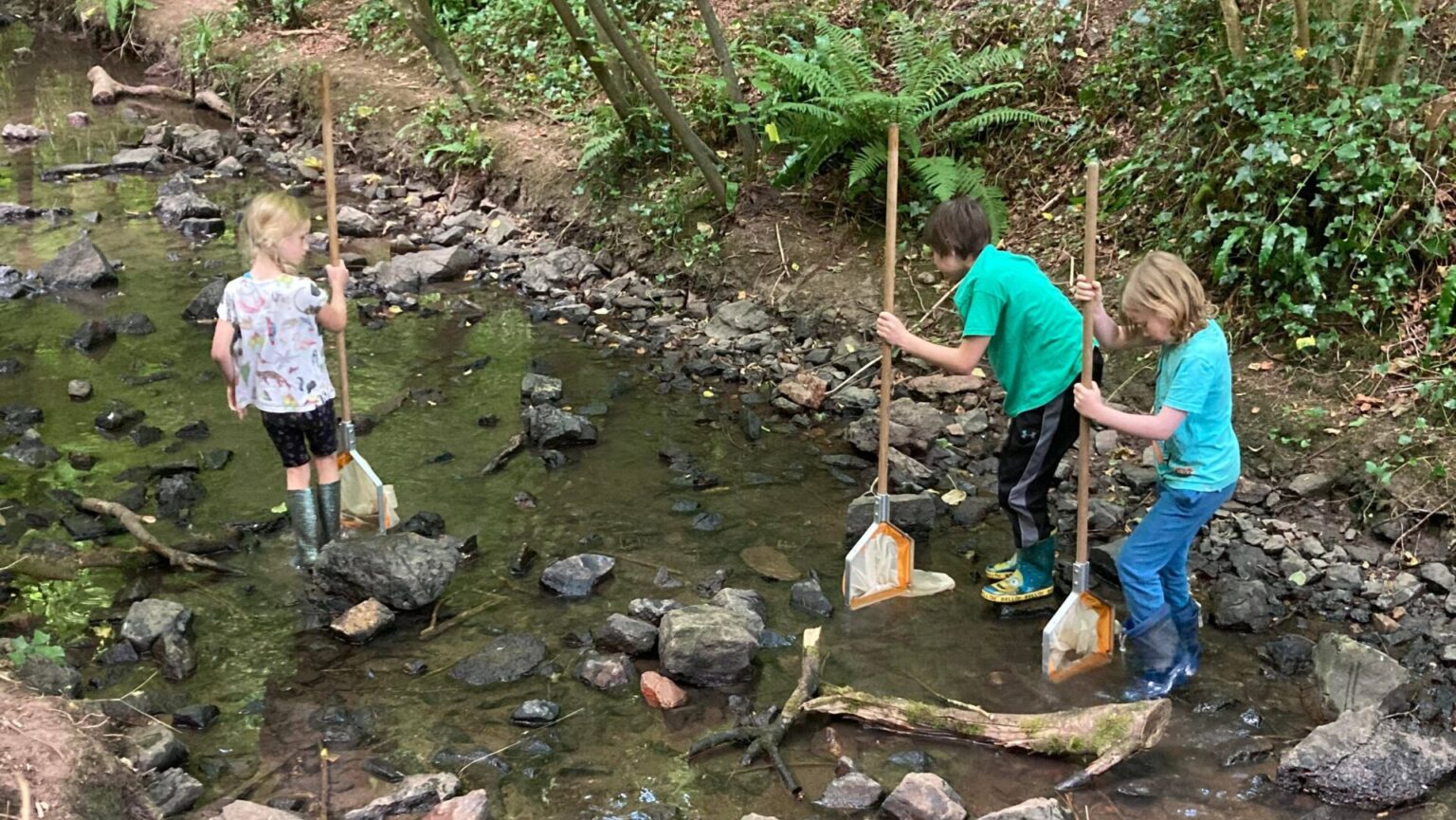 River Dipping Midsomer Norton Bristol Avon Rivers Trust