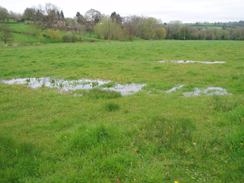 Flooded Field on Avon