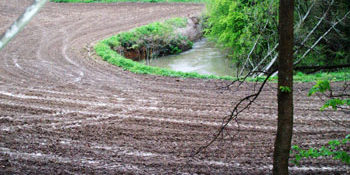 Farning to close to the river bank