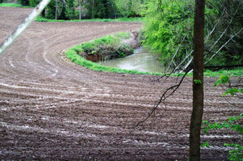 Farning to close to the river bank