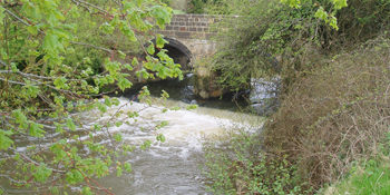 Avon River Weir