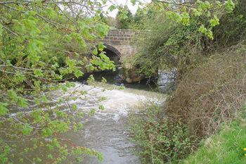 Avon River Weir