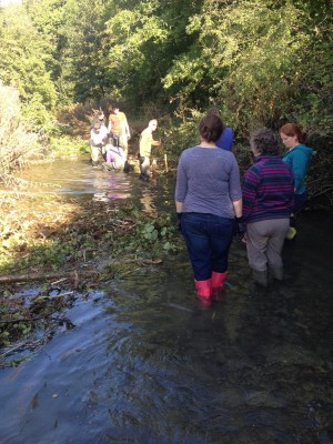 Volunteers hard at work in the river