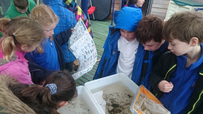 Chew Magna primary school - river explorers! - Bristol Avon Rivers Trust