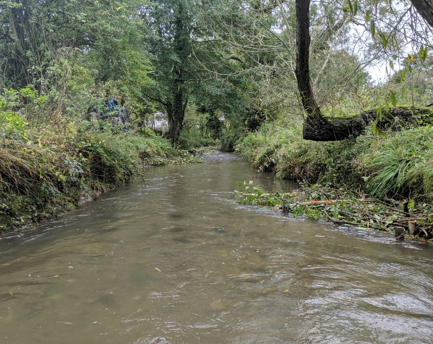 Bristol Avon Newsletters