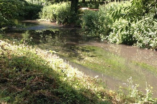 Bristol Avon River Projects