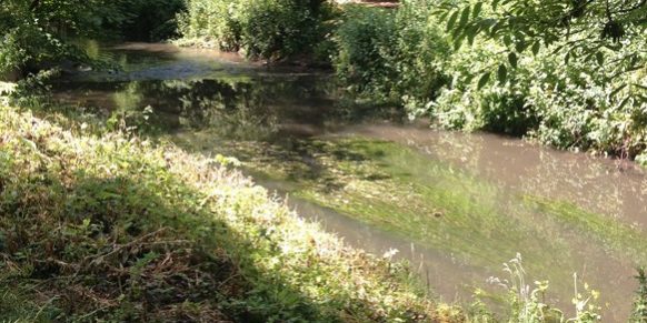 Bristol Avon River Projects