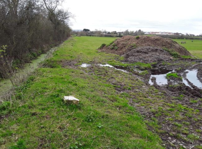 Congresbury Yeo Habitat Improvements
