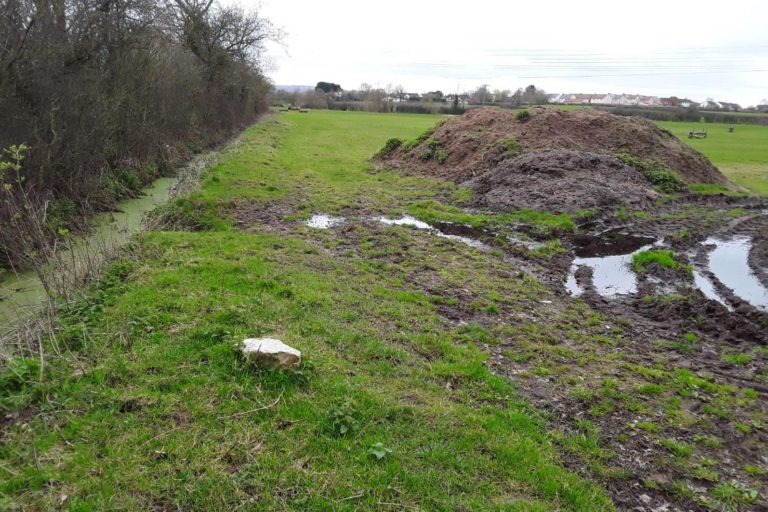 Congresbury Yeo Habitat Improvements