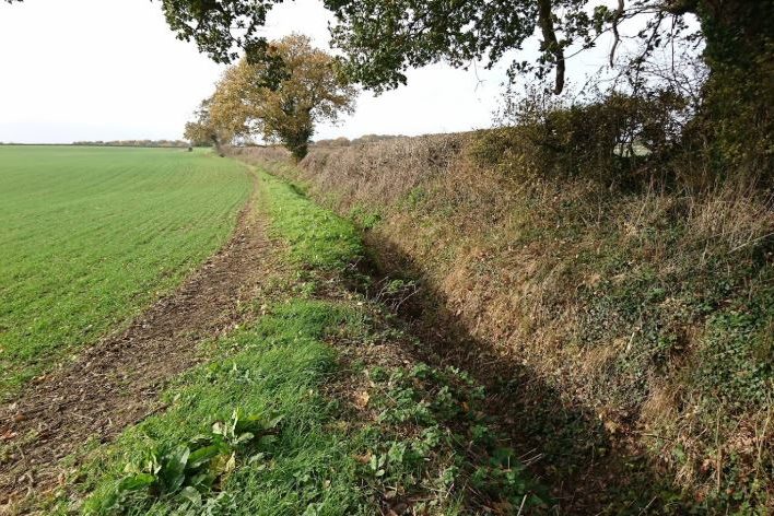 South Brook Natural Flood Management