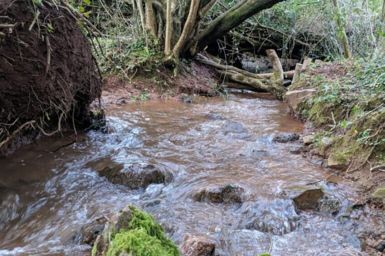 Bristol Avon river survey