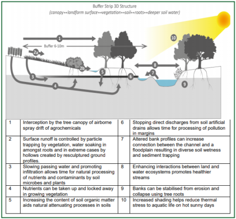 Tree Planting - Bristol Avon Rivers Trust