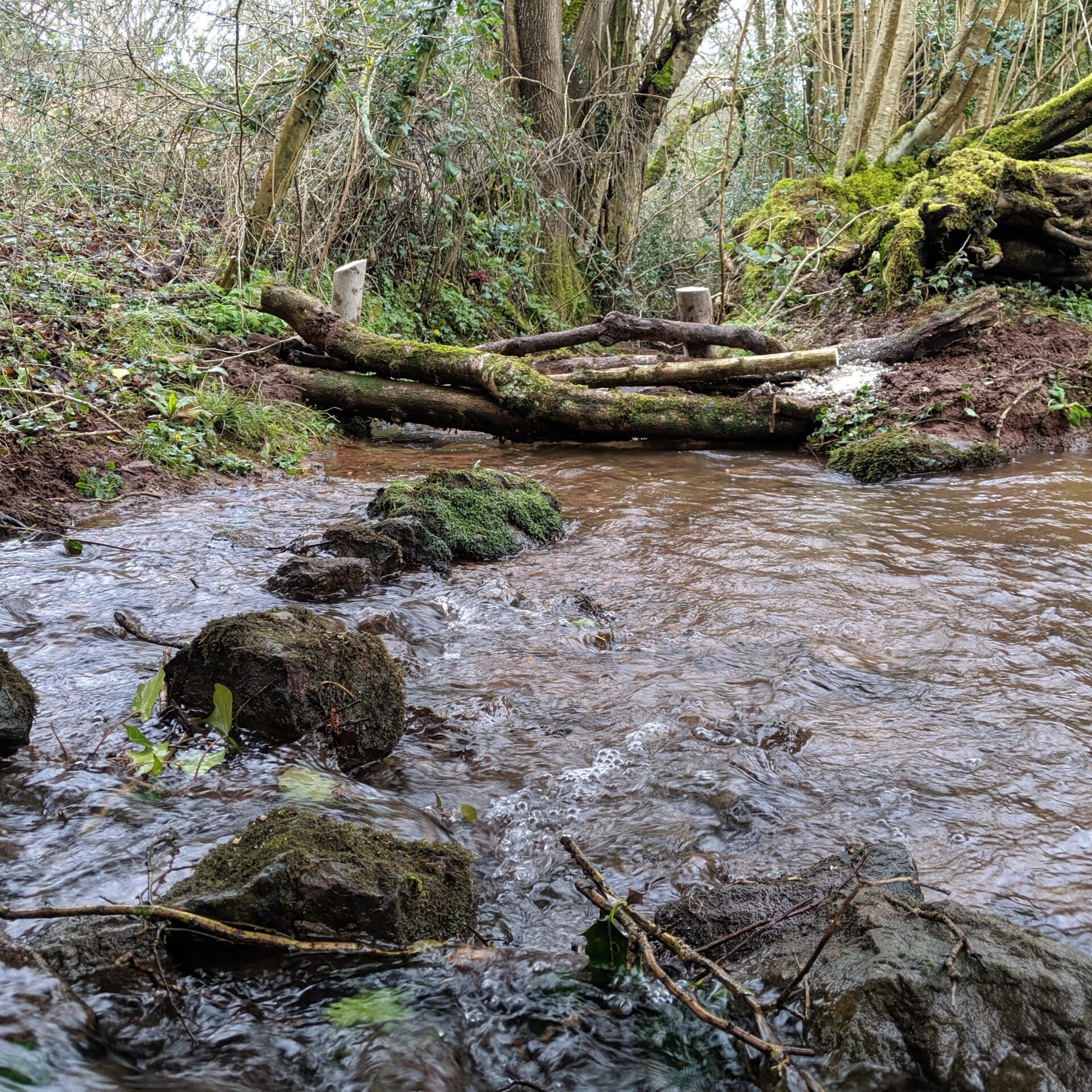 Natural Flood Management - Bristol Avon Rivers Trust