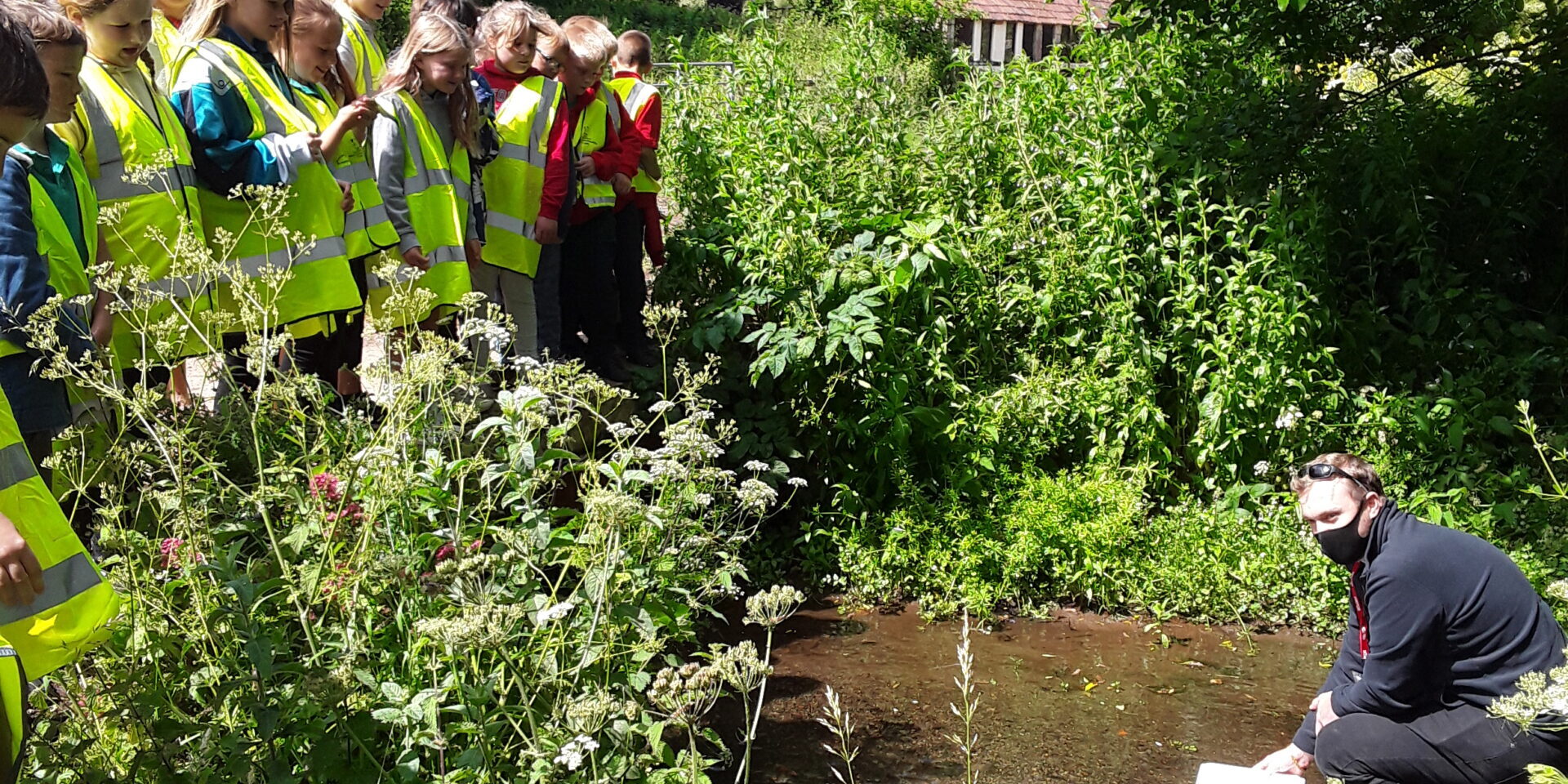 Eels in the Classroom 2021 Bristol Avon Rivers Trust