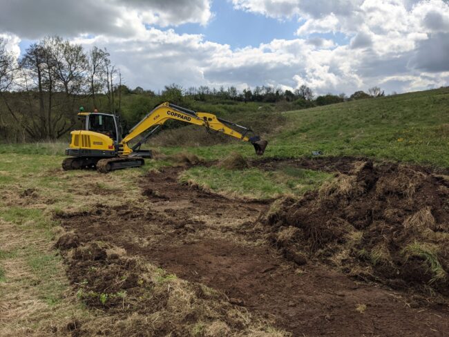 Wetland creation BART