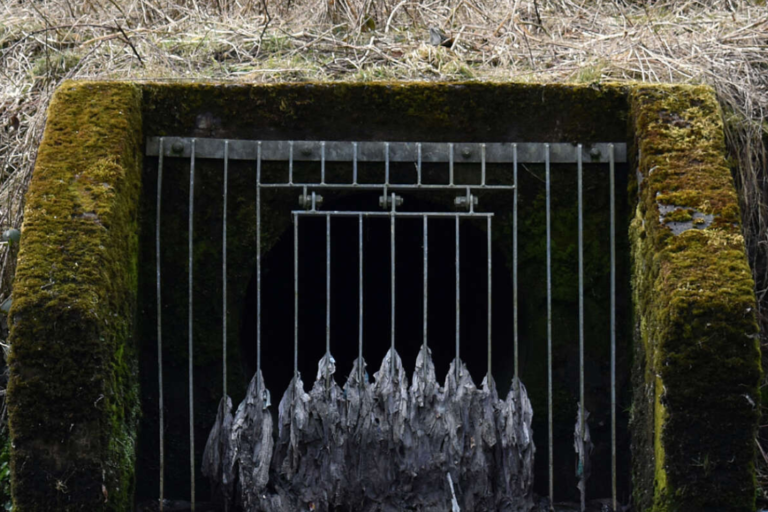 River Trust photo of a combined sewage overflow pipe