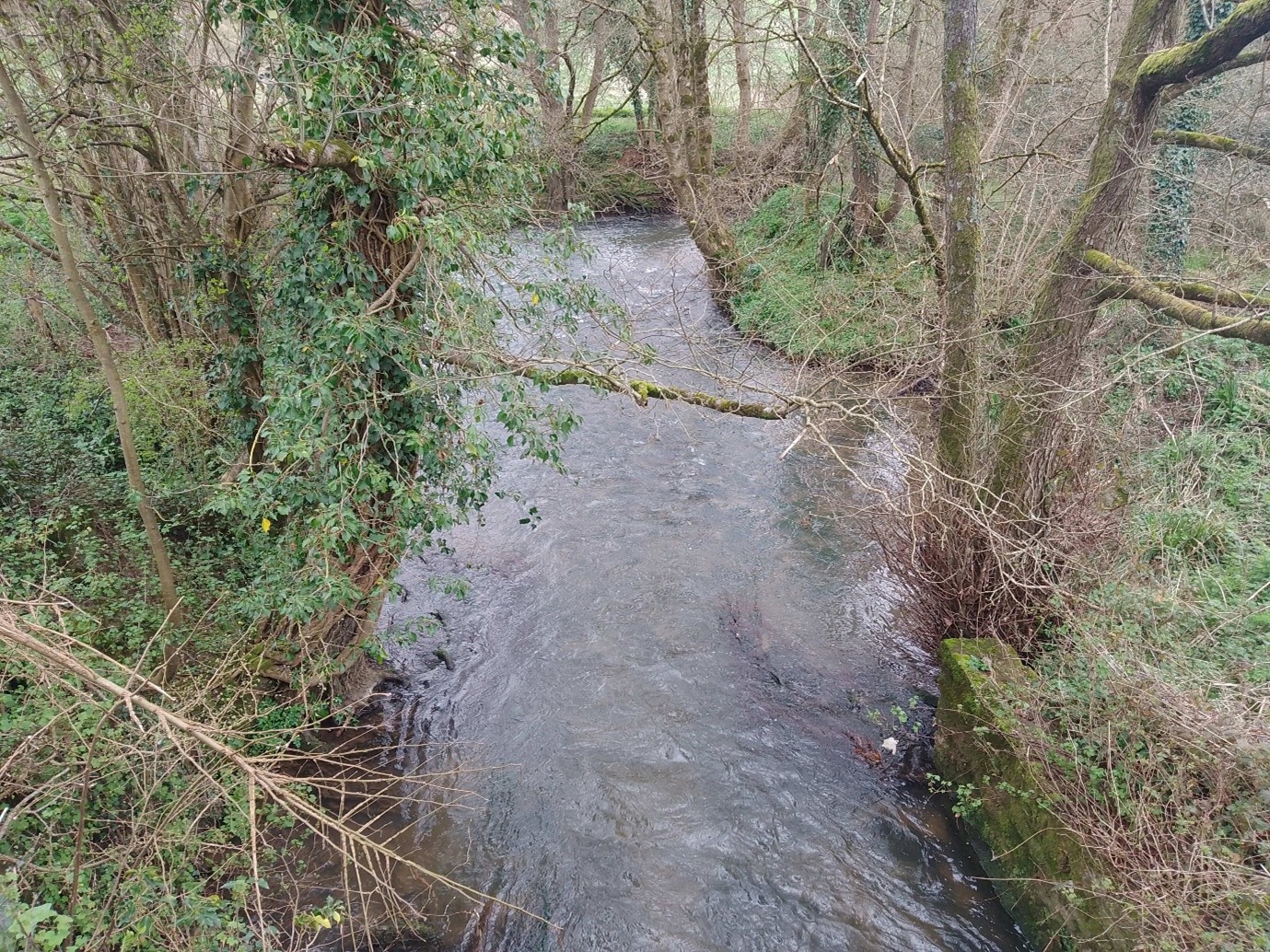 Riverfly Sampling Site