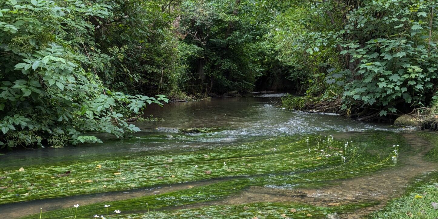 PXL_20240725_123328778.MP