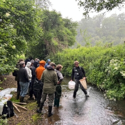 Untitled design (13)