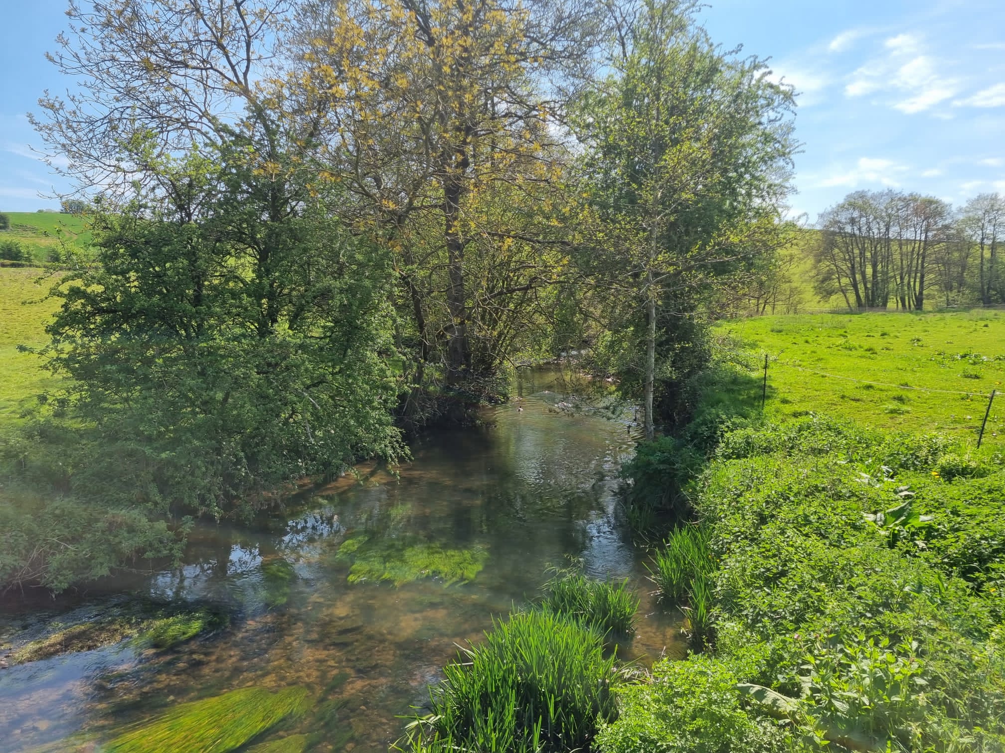 Wellow Brook 1